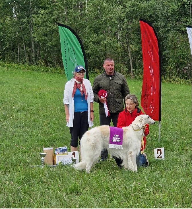 National Lure Coursing Competition “Club Winner 2023”, Raiskums, Latvia