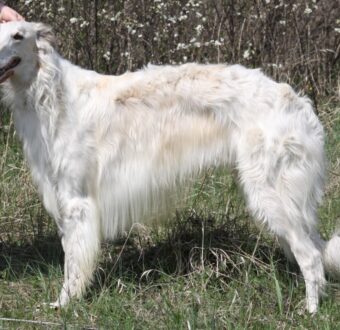 95266155_942976909505821_6741989238897639424_n