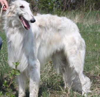 95505327_2849943925082911_752200381580181504_n