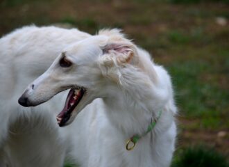 DSC_1538res DSC_1538res