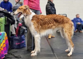 407043947_909679464006401_9136327527913797009_nres