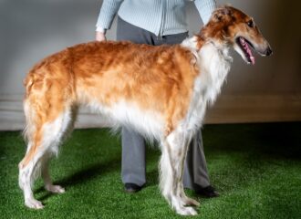 IMGP2674res IMGP2674res