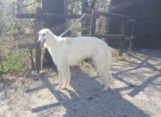 20250403_115406res 20250403_115406res