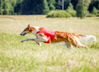 IMG_2059 res IMG_2059 res