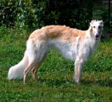 2025-07-25 Vesta res