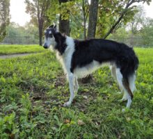 20251003_075454res 20251003_075454res