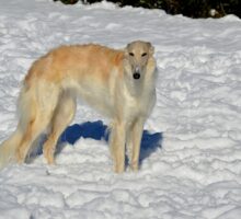 2025-11-27 Vesta 1res