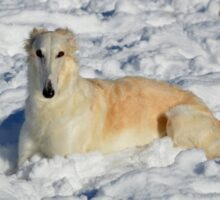 2025-11-27 Vesta 2res