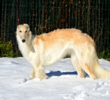 2025-11-27 Vesta res