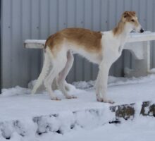 20260104_120202(0)res