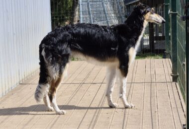 20260419_140326res