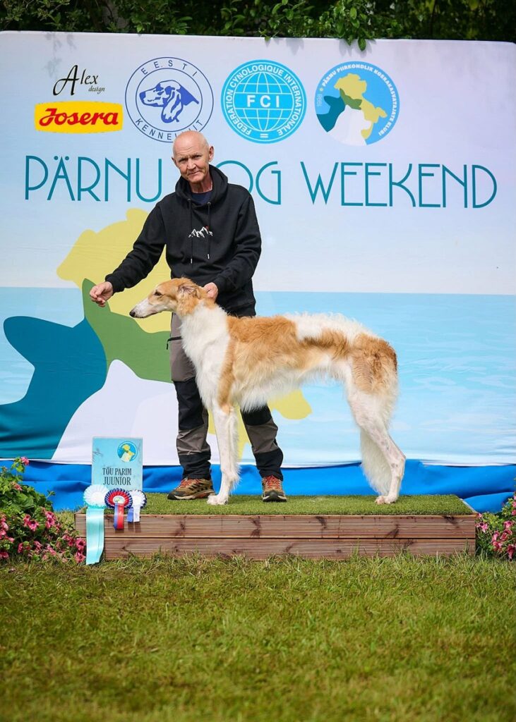 Pärnu Dogshow Weekend, Estonia
