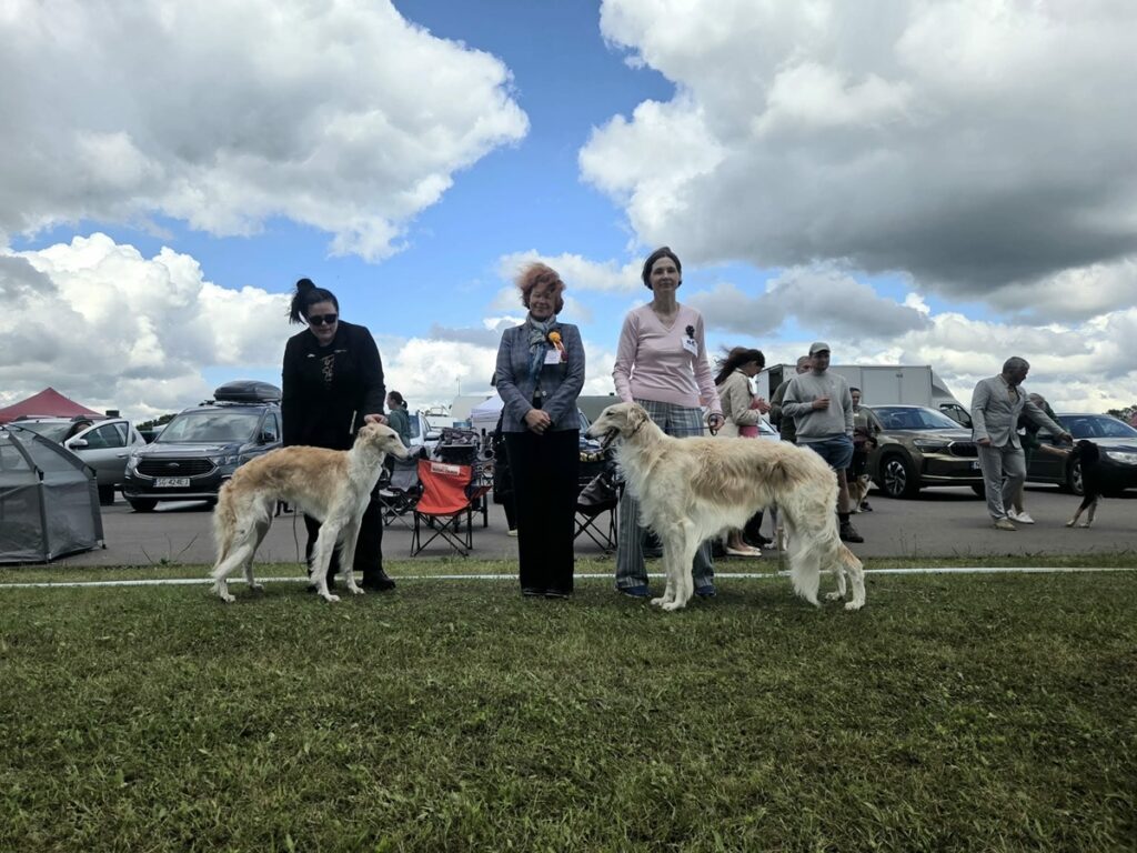 International dog show in Moletai, Lithuania