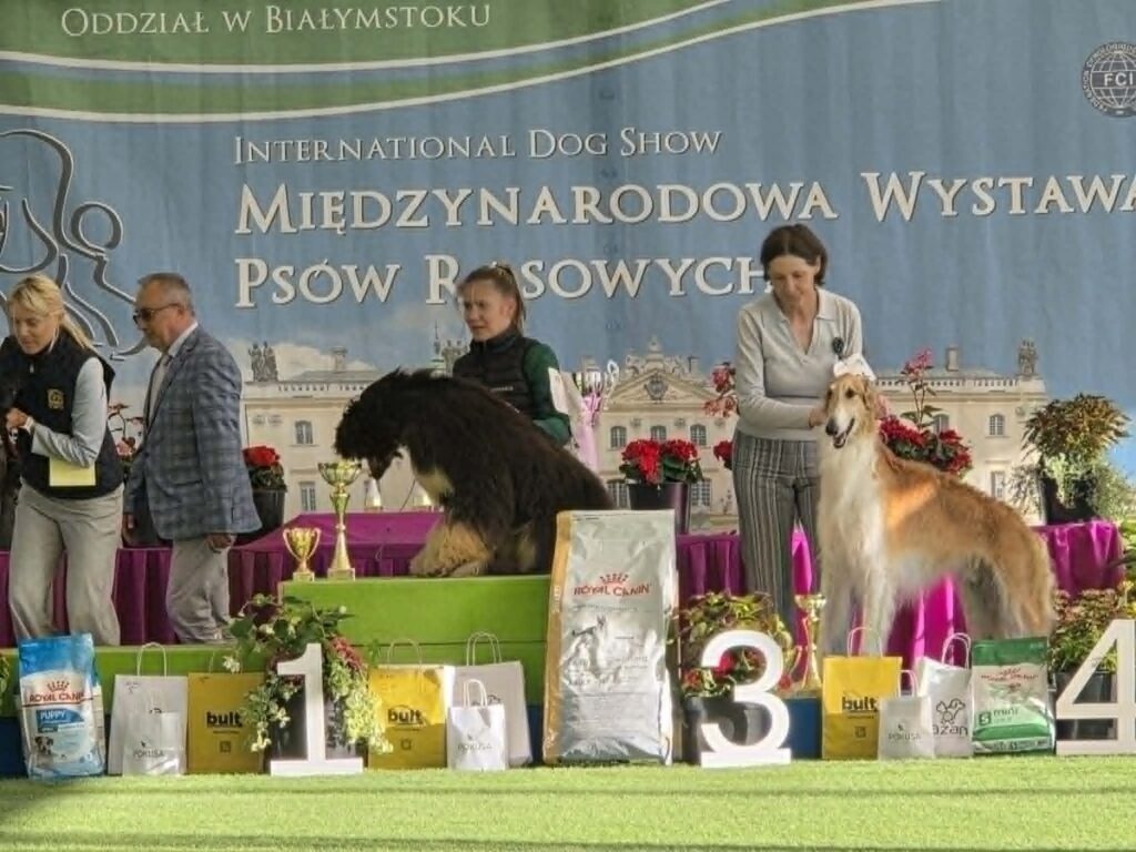 International dog shows in Bialystok, Poland